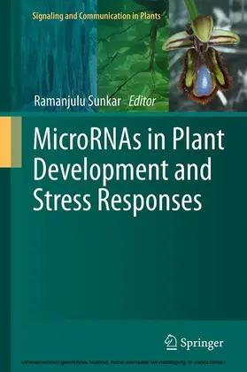 Sunkar |  MicroRNAs in Plant Development and Stress Responses | eBook | Sack Fachmedien