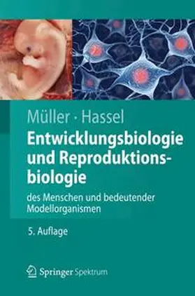 Müller / Hassel |  Entwicklungsbiologie und Reproduktionsbiologie des Menschen und bedeutender Modellorganismen | Buch |  Sack Fachmedien