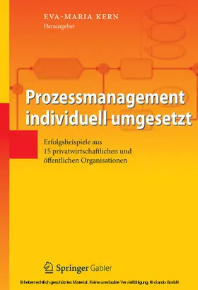 Kern | Prozessmanagement individuell umgesetzt | E-Book | sack.de