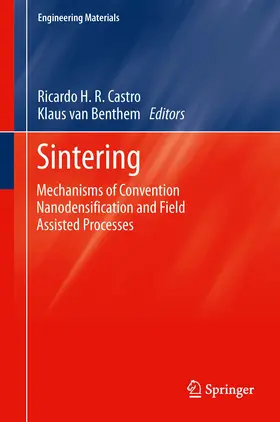 Castro / van Benthem |  Sintering | eBook | Sack Fachmedien