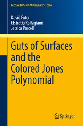 Futer / Kalfagianni / Purcell |  Guts of Surfaces and the Colored Jones Polynomial | eBook | Sack Fachmedien