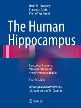 Duvernoy / Cattin / Risold |  The Human Hippocampus | Buch |  Sack Fachmedien