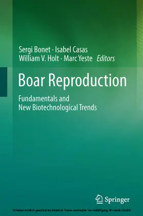 Bonet / Casas / Holt |  Boar Reproduction | eBook | Sack Fachmedien