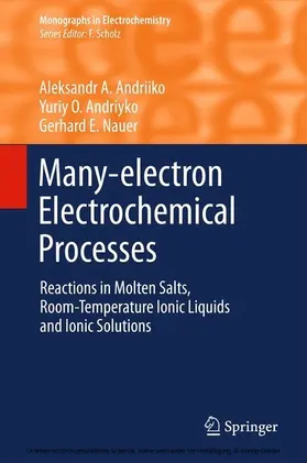 Andriiko / Andriyko / Nauer |  Many-electron Electrochemical Processes | eBook | Sack Fachmedien