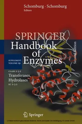 Schomburg / Chang |  Class 2–3.2 Transferases, Hydrolases | eBook | Sack Fachmedien