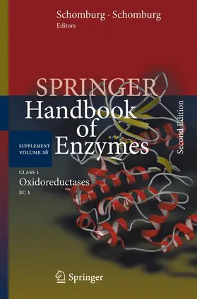 Schomburg / Chang |  Class 1 Oxidoreductases | Buch |  Sack Fachmedien