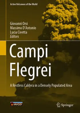 Orsi / D'Antonio / Civetta |  Campi Flegrei | eBook | Sack Fachmedien