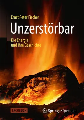 Fischer | Unzerstörbar | Buch | 978-3-642-37734-1 | www2.sack.de