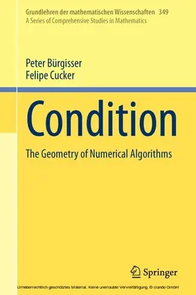 Bürgisser / Cucker |  Condition | eBook | Sack Fachmedien