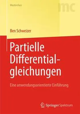 Schweizer |  Partielle Differentialgleichungen | Buch |  Sack Fachmedien