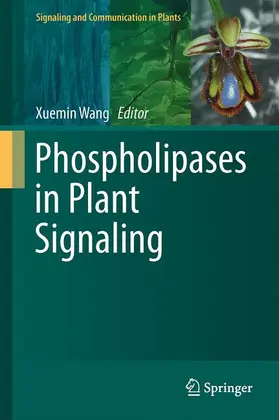 Wang |  Phospholipases in Plant Signaling | Buch |  Sack Fachmedien