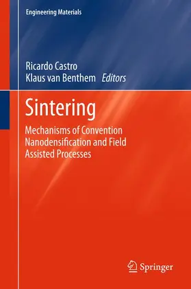 van Benthem / Castro |  Sintering | Buch |  Sack Fachmedien