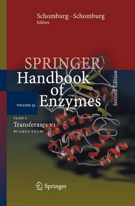 Schomburg |  Class 2  Transferases VI | Buch |  Sack Fachmedien