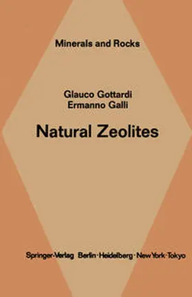 Gottardi / Galli |  Natural Zeolites | eBook | Sack Fachmedien