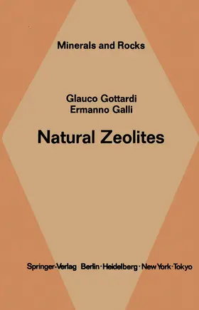 Gottardi / Galli | Natural Zeolites | Buch | 978-3-642-46520-8 | sack.de