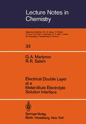 Martynov / Salem |  Electrical Double Layer at a Metal-dilute Electrolyte Solution Interface | eBook | Sack Fachmedien