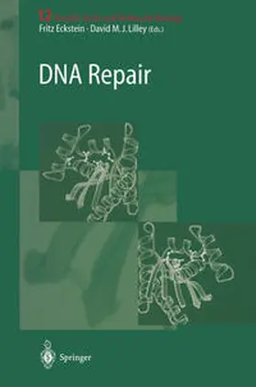 Eckstein / Lilley |  DNA Repair | eBook | Sack Fachmedien