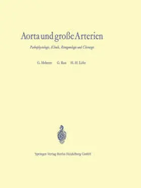Heberer / Rau / Löhr |  Aorta und große Arterien | eBook | Sack Fachmedien
