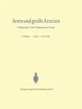 Rau / Heberer / Löhr |  Aorta und große Arterien | Buch |  Sack Fachmedien