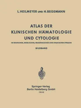 Begemann / Heilmeyer |  Atlas der Klinischen Hämatologie und Cytologie in Deutscher, Englischer, Französischer und Spanischer Sprache | Buch |  Sack Fachmedien