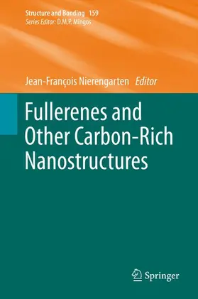 Nierengarten |  Fullerenes and Other Carbon-Rich Nanostructures | Buch |  Sack Fachmedien