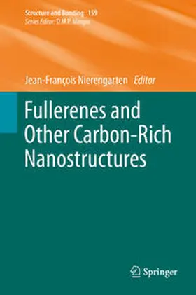 Nierengarten |  Fullerenes and Other Carbon-Rich Nanostructures | eBook | Sack Fachmedien