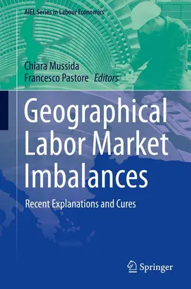 Pastore / Mussida |  Geographical Labor Market Imbalances | Buch |  Sack Fachmedien