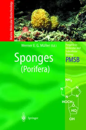 Müller |  Sponges (Porifera) | eBook | Sack Fachmedien
