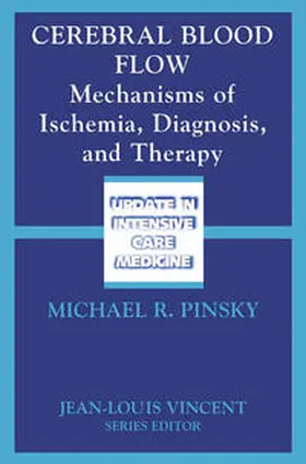 Pinsky |  Cerebral Blood Flow | eBook | Sack Fachmedien
