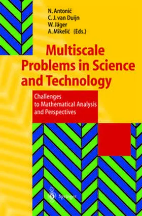 Antonic / Duijn / Jäger |  Multiscale Problems in Science and Technology | eBook | Sack Fachmedien
