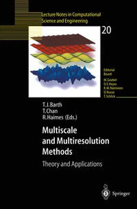 Barth / Chan / Haimes |  Multiscale and Multiresolution Methods | eBook | Sack Fachmedien