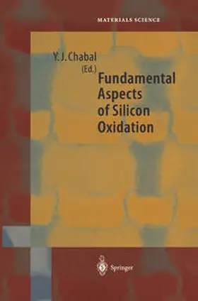 Chabal | Fundamental Aspects of Silicon Oxidation | E-Book | sack.de
