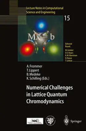 Frommer / Lippert / Medeke | Numerical Challenges in Lattice Quantum Chromodynamics | E-Book | sack.de