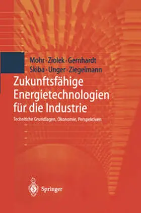 Mohr / Ziolek / Gernhardt | Zukunftsfähige Energietechnologien für die Industrie | E-Book | sack.de