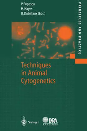 Popescu / Hayes / Dutrillaux |  Techniques in Animal Cytogenetics | eBook | Sack Fachmedien