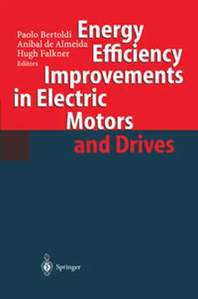 Bertoldi / Almeida / Falkner |  Energy Efficiency Improvements in Electronic Motors and Drives | eBook | Sack Fachmedien