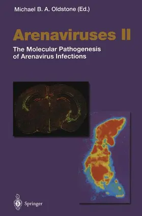 Oldstone |  Arenaviruses II | Buch |  Sack Fachmedien