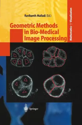 Malladi |  Geometric Methods in Bio-Medical Image Processing | Buch |  Sack Fachmedien