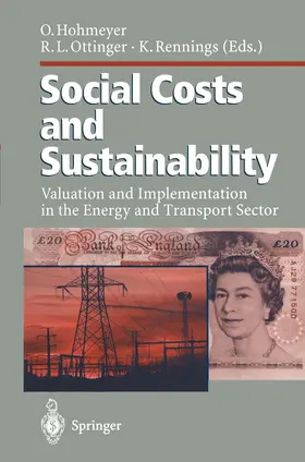 Hohmeyer / Ottinger / Rennings |  Social Costs and Sustainability | Buch |  Sack Fachmedien