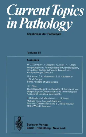 Kirsten / Grundmann |  Current Topics in Pathology / Ergebnisse der Pathologie | Buch |  Sack Fachmedien