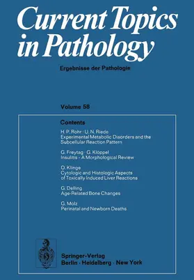 Kirsten / Grundmann |  Current Topics in Pathology 58 | Buch |  Sack Fachmedien