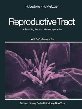 Ludwig / Metzger |  The Human Female Reproductive Tract | Buch |  Sack Fachmedien