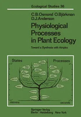 Osmond / Björkman / Anderson |  Physiological Processes in Plant Ecology | eBook | Sack Fachmedien