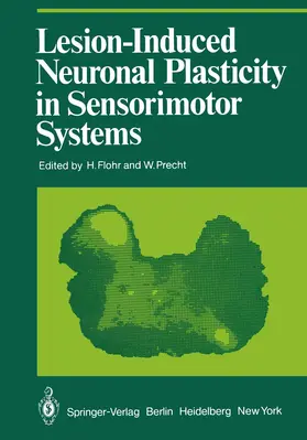 Precht / Flohr |  Lesion-Induced Neuronal Plasticity in Sensorimotor Systems | Buch |  Sack Fachmedien