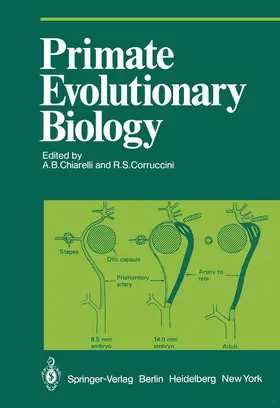 Corruccini / Chiarelli |  Primate Evolutionary Biology | Buch |  Sack Fachmedien