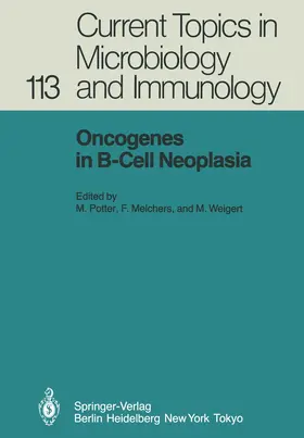 Potter / Weigert / Melchers |  Oncogenes in B-Cell Neoplasia | Buch |  Sack Fachmedien