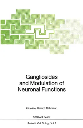Rahmann |  Gangliosides and Modulation of Neuronal Functions | Buch |  Sack Fachmedien
