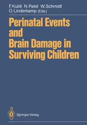 Kubli / Patel / Schmidt |  Perinatal Events and Brain Damage in Surviving Children | eBook | Sack Fachmedien
