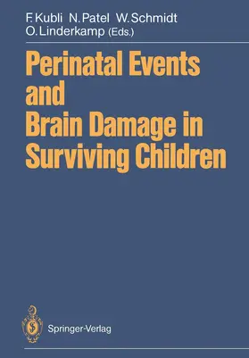 Kubli / Patel / Schmidt |  Perinatal Events and Brain Damage in Surviving Children | Buch |  Sack Fachmedien