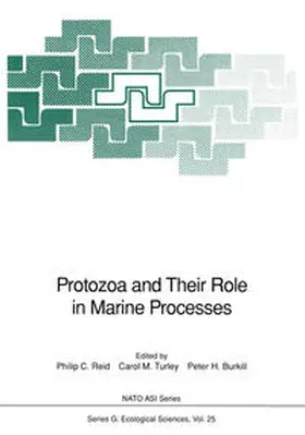 Reid / Turley / Burkill |  Protozoa and Their Role in Marine Processes | eBook | Sack Fachmedien